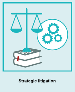 Strategic litigation