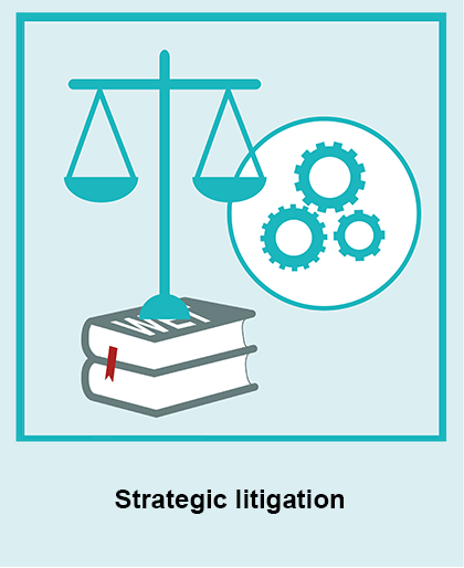 Strategic litigation